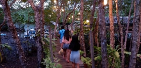 巴拉望普林塞薩港賞螢火蟲｜親測4小時夜遊全攻略✨避坑看這篇