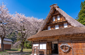 名古屋一日遊實測｜選這個團不用自己煩交通！超抵看合掌村✨