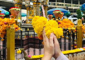 曼谷神聖祈福一日遊實測｜避坑+預訂貼士全公開✨