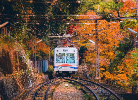 京都睿山行程避坑指南｜這5件事沒做就白來了！🗺️