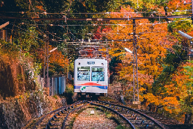 京都睿山電車+纜車實測｜12分鐘飽覽櫻楓雙景！空中步道超驚喜✨