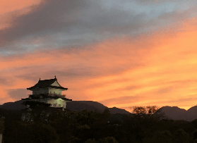 小田原城實測｜3個必知避坑！180天門票超贊玩法✨