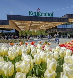 「2025庫肯霍夫實測」阿姆斯特丹出發超順行程｜避坑指南收好💐