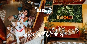 錫亞高必去！柯基島咖啡廳預訂前3大避坑實測✨