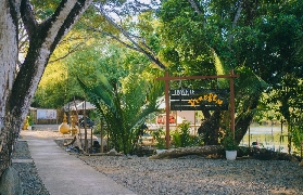 菲律賓公主港螢火蟲之旅｜親測超抵！避坑+體驗全攻略✨