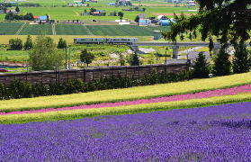 北海道札幌富良野JR Pass｜4天玩透透實測！超讚行程規劃看這篇💐