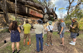 卡卡杜一日遊實測｜跳鱷魚+巖畫太狂！這些細節超重要🤩