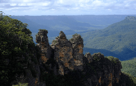 悉尼藍山+野生動物一日遊實測｜3大亮點+2避坑點｜新手必看✨