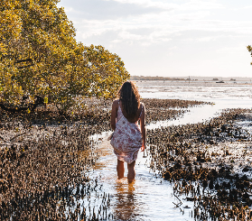 布裏斯班出發北斯特拉布魯克島一日遊｜實測！野生動物邂逅超讚體驗分享🐨