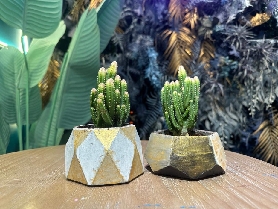 香港水泥工作坊實測｜2節課做出專屬紀念物！中環/銅鑼灣避坑指南