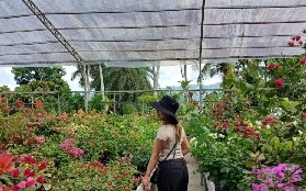 宿霧農場之旅預訂前必睇！3個超抵坑點+接送貼士✨