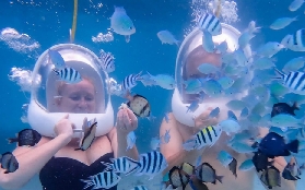 宿霧頭盔潛水實測｜怕水也能踩海底！3個預訂坑別踩✨