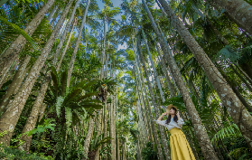 沖繩FunPASS攻略｜5大避坑技巧+實用總結！看完直接出發🌊