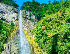 名古屋出發熊野一日遊｜實測4小時古道徒步+那智瀑布超讚體驗✨