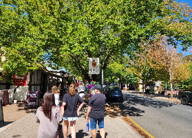 阿德萊德山高級之旅總結｜3個必看避坑+體驗優化技巧✅