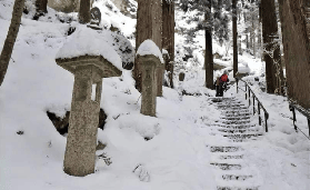 仙臺出發東北遊｜3個必避坑點，玩得更順利！