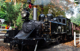 菲利普島企鵝探險避坑總結！5個實用建議幫你省麻煩💡