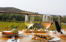 墨爾本1小時直達！雅拉河谷酒莊一日遊實測｜避坑+亮點大公開🍷