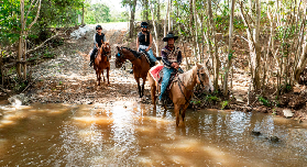 凱恩斯隱藏版農場！親子一日遊避坑指南｜抵玩到爆✨
