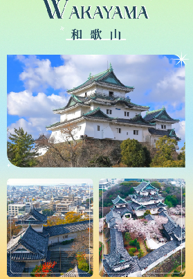 大阪出發一日遊選品必看！和歌山+奈良這團超抵✨