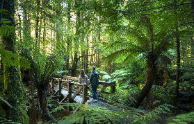 墨爾本湖山冰雪探險之旅：遊玩後避坑總結與實用建議