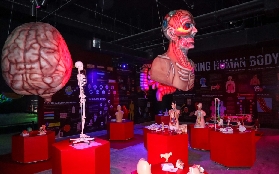 克拉克SciENSE實測｜恐龍會回應咆哮？太空球池超讚💥