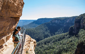 悉尼藍山實測｜日落+野生袋鼠+瀑布徒步超讚🤩
