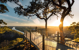 悉尼藍山日落之旅｜遊玩後總結3個避坑要點💡