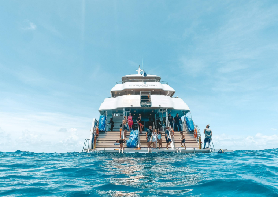 凱恩斯大堡礁一日遊實測｜坐35米豪艇避開人潮太抵了✨