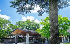 實測！成田機場→輕井澤最快直達法✨免轉乘超省心