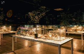 馬尼拉MindSpark超讚體驗｜真人大小科學裝置玩到不想走！🤩