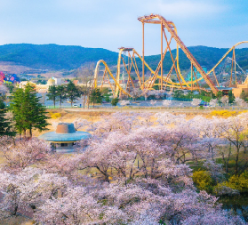 4月韓國追櫻，今年必去一覽！