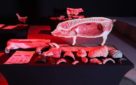 伊洛伊洛科學館玩透透｜10大實驗室互動超讚！家庭任務超夯🤩