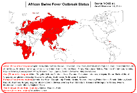 東京目黑Micro Pig Cafe｜實測避坑！3天後才能進場？
