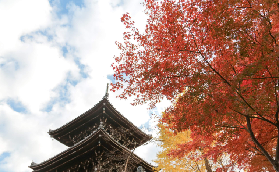 京都祇園夜間導覽｜3個必知避坑建議，避免浪費時間！
