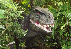 沖繩週遊券實玩｜3項體驗細節大公開！超讚免排隊✨