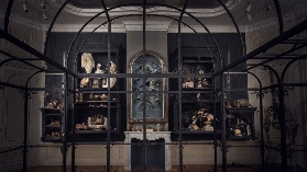 「阿姆斯特丹2025新景點實測」Art Zoo Museum 避坑+亮點全攻略✨