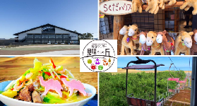 鳥取樂享週遊券｜實用行程規劃+避坑全攻略📝