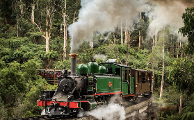 墨爾本必試！普芬比利+企鵝歸巢行程預訂前必睇3大貼士✨