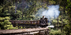 墨爾本普芬比利+企鵝歸巢行程｜總結5大避坑要點⚠️