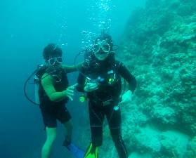 宿霧鯨鯊水肺潛水實測｜3小時車程抵玩到爆！避開浮潛人潮私享奇遇✨