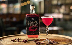 達爾文酒廠之旅｜預訂前必睇！5小時內陸美食+琴酒體驗超抵玩✨