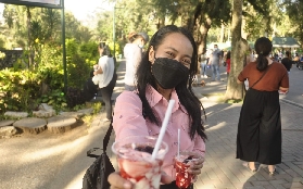 碧瑤草莓採摘之旅預訂前必睇！3個貼心貼士+避坑指南✨