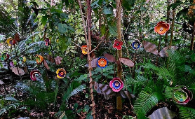 達爾文熱帶花園一日遊｜原住民植物+新鮮水果採摘超讚🌿