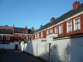 【實測】阿姆斯特丹3合1行程超讚！步行+騎車+運河遊免踩雷攻略✨