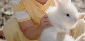 邦勞島南方農場實測｜3個預訂前必知！避坑+隱藏玩法