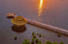 薄荷島隱藏秘境！北禪別墅日間體驗實測｜避坑+必玩清單✨