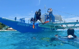 薄荷島潛水複習課實測｜3個避坑點+教練體驗全分享✨