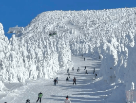 🎿2026日本人氣滑雪場推薦TOP5❄️