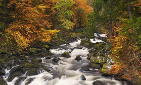 愛丁堡出發高地一日遊｜避坑實測！威士忌+湖泊景點超抵✨